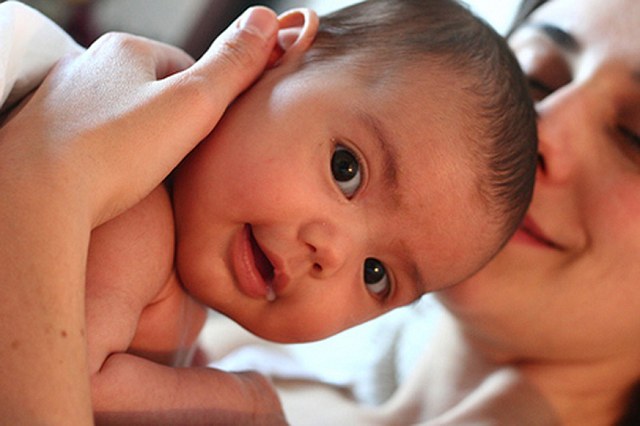 Maternity Leave 