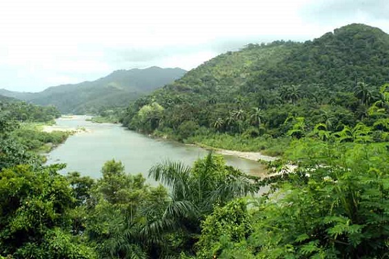 Carbon retention grows in the Cuchillas del Toa Protected Area