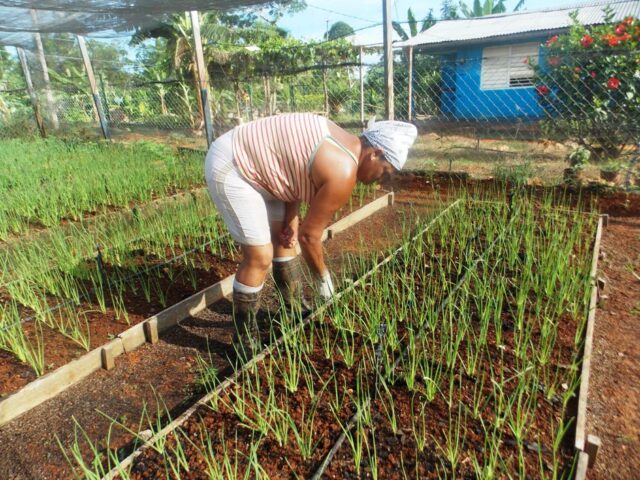 Meeting of women producers will be held in Guantanamo province