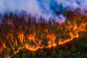 Combaten incendios forestales en Uruguay