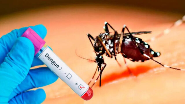 Cuba inicia estudios preclínicos de vacuna contra el dengue