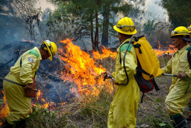 Comienza en Cuba Semana Nacional contra Incendios