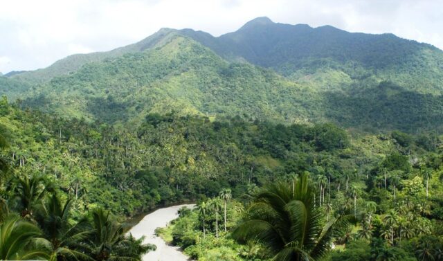 Preservan patrimonio forestal en Guantánamo