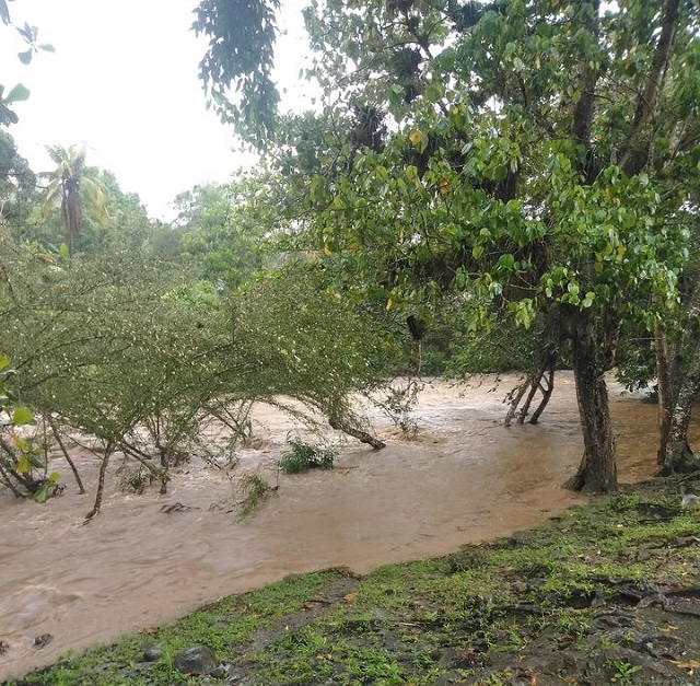Medidas en Yateras para reducir afectaciones a la agricultura ante llegada de lluvias