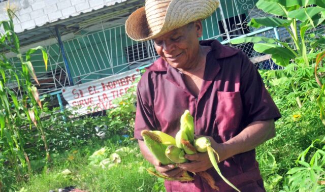 El hit productivo de Melquiades