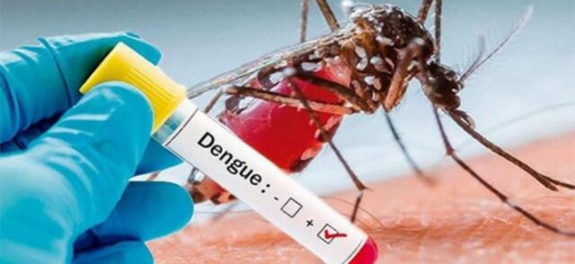 Mantener la guardia contra el Aedes Aegypti, tarea de todos