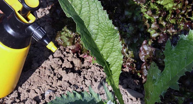 Contribuye Catedes Guantánamo a la sustitución de importaciones de insecticida
