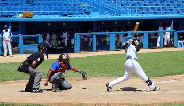 Leones y Gallos comparten cima en Liga Élite del Beisbol
