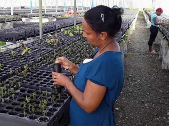  Impulsan en Guantánamo agroecología y empoderamiento femenino