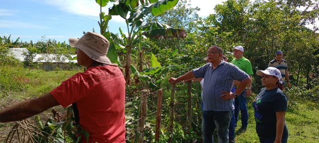 Constatan autoridades de Guantánamo programa para la producción de alimentos en Yateras