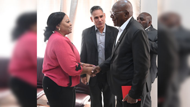 Vicepresidente cubano dialoga con dirigente del Congreso Nacional Africano